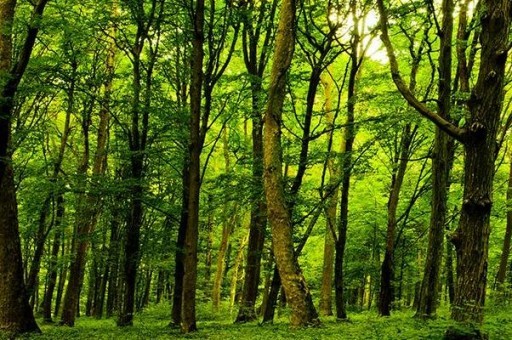 世界十大特别贵单反镜头排名2025最新排名前十名榜单出炉
