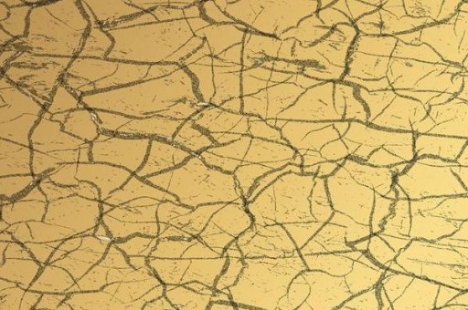 中国十大著名功夫排名2025最新排名前十名榜单出炉