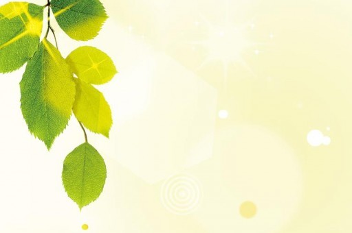海洋十大危险动物排名2025特别新排名前十名分析