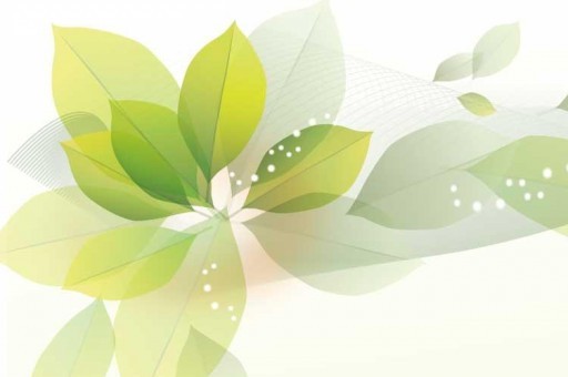 好莱坞十大悬疑电影排行榜2025最新排名前十名榜单出炉