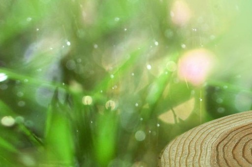 【明星好感度排行榜】范爷居榜首2025特别新排名前十名分析
