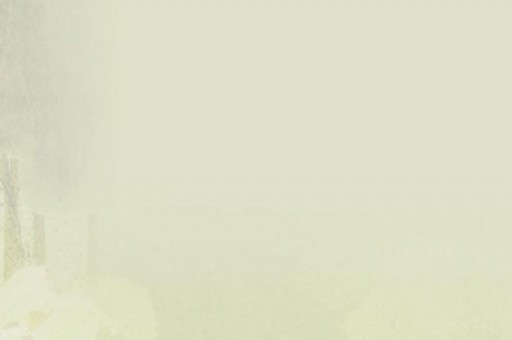 结婚纪念日送老婆礼物排行榜2025最新排名前十名榜单出炉
