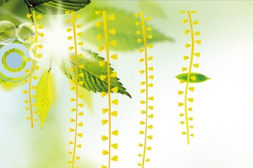 电力特别持久的5G手机排名2025最新排名前十名榜单出炉