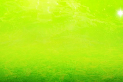 世界特别严谨的语言排行2025最新排名前十名榜单出炉