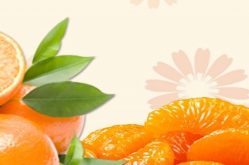 儿童教育APP排行榜前十名2025最新排名前十名榜单出炉