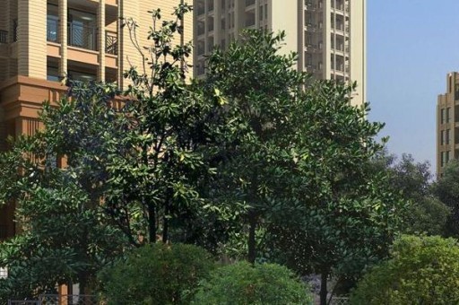 2021十大豪车排行榜2025最新排名前十名榜单出炉