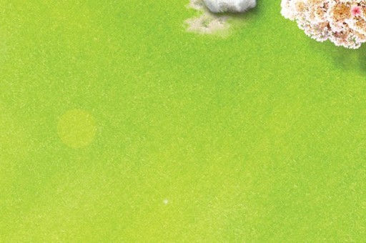 十大进口沙发品牌排行榜2025近期排名前十名分析