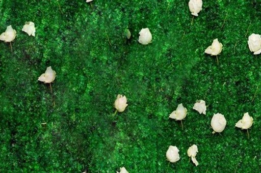 神仙颜值电竞选手排行榜2025最新排名前十名榜单出炉