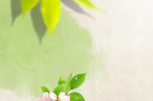 十大补肾的食物排行榜2025近期排名前十名分析