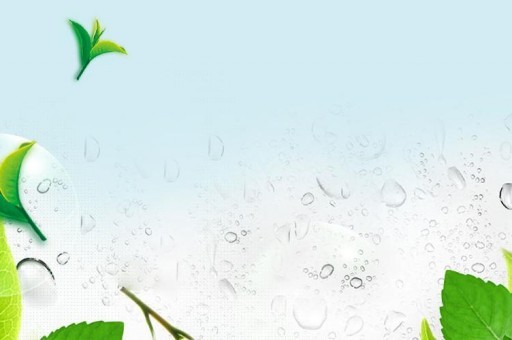 上海排名前十的家政公司2025最新排名前十名榜单出炉