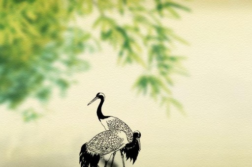 8000元左右的游戏本排行榜2025近期排名前十名分析