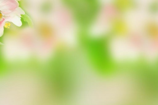 唇膏哪个牌子好用又健康？2025唇膏十大品牌排行榜