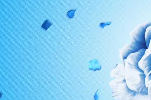 美发护发什么品牌好？2025美发护发十大品牌排行榜