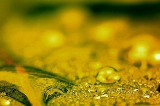 一洗黑什么牌子好？2025年一洗黑十大品牌排行榜