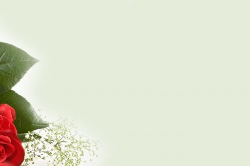 适合理科女生的十大热门专业2025最新排名前十名榜单出炉