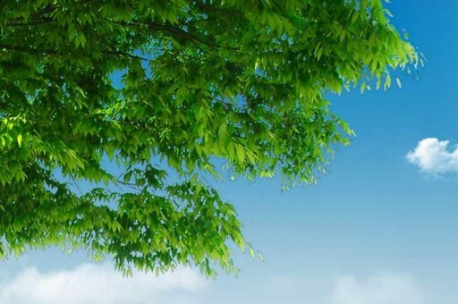 德国十大不锈钢品牌排行榜2025最新排名前十名榜单出炉
