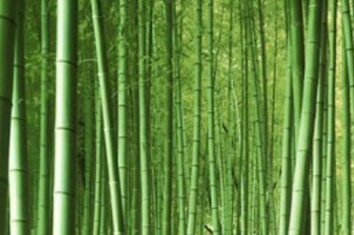 祛痘印产品哪个牌子好？2025祛痘印产品十大品牌排行榜